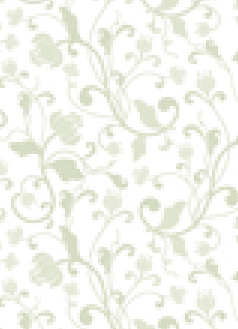 Oriella Green 120gsm A4 Paper