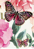 Butterfly Garden 120gsm A4 Paper