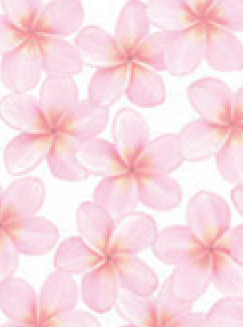 Frangipani Pink 120gsm A4 Paper