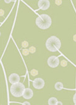 Oriental Bloom Meadow 120gsm A4 Paper