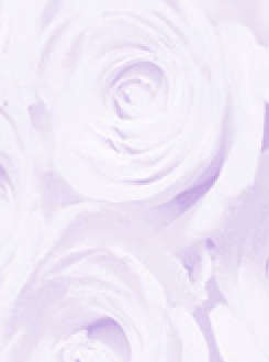Rose Lilac A4 Translucent Paper 112gsm