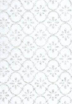 Taj Royale Silver Glitter Print-White 150gsm A4 Paper