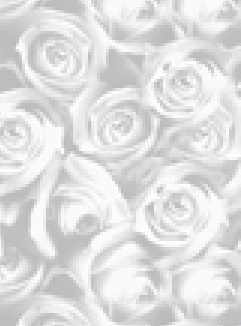 Inspired Roses Silver A4 Translucent Paper 112gsm