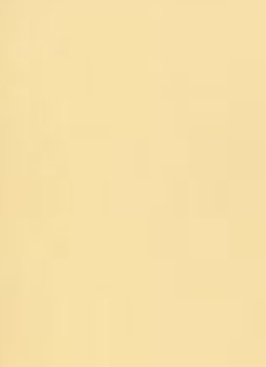 Pearla Peach Blush 110gsm A4 Paper