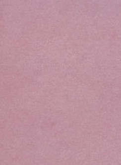 Pearla Raspberry 270gsm A4 Card