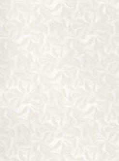 Pearla Plus Starfish White 110gsm A4 Paper