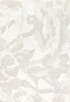 Pearla Vibe Camouflage Shining White 310gsm A4 Card